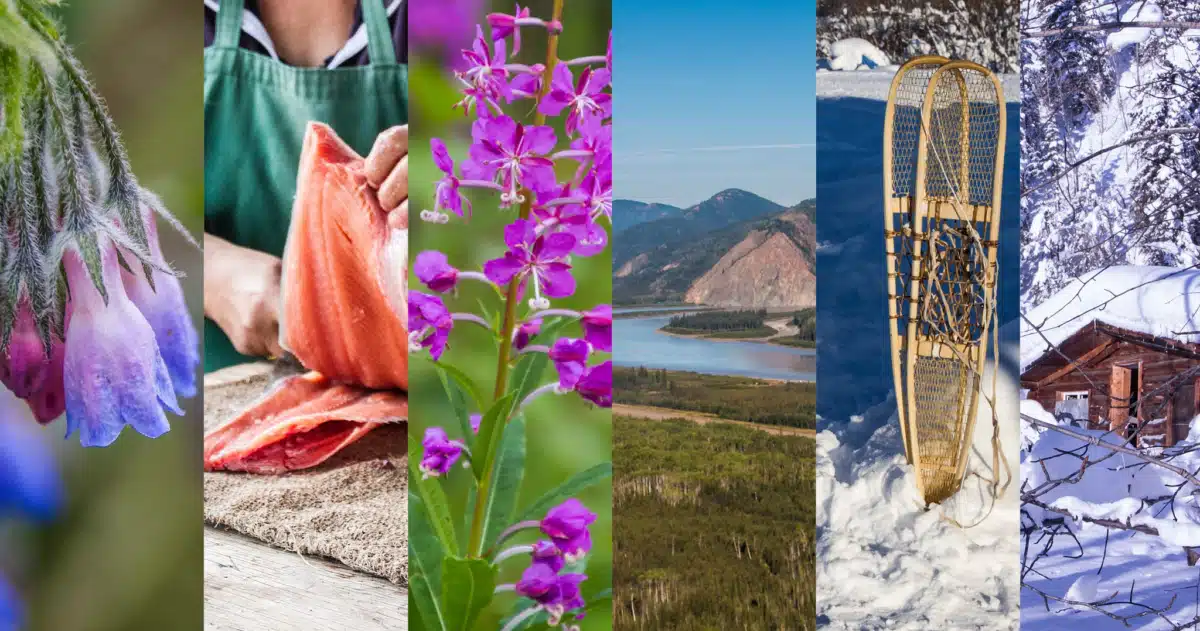 Tanana Chiefs Conference Inc - Preview